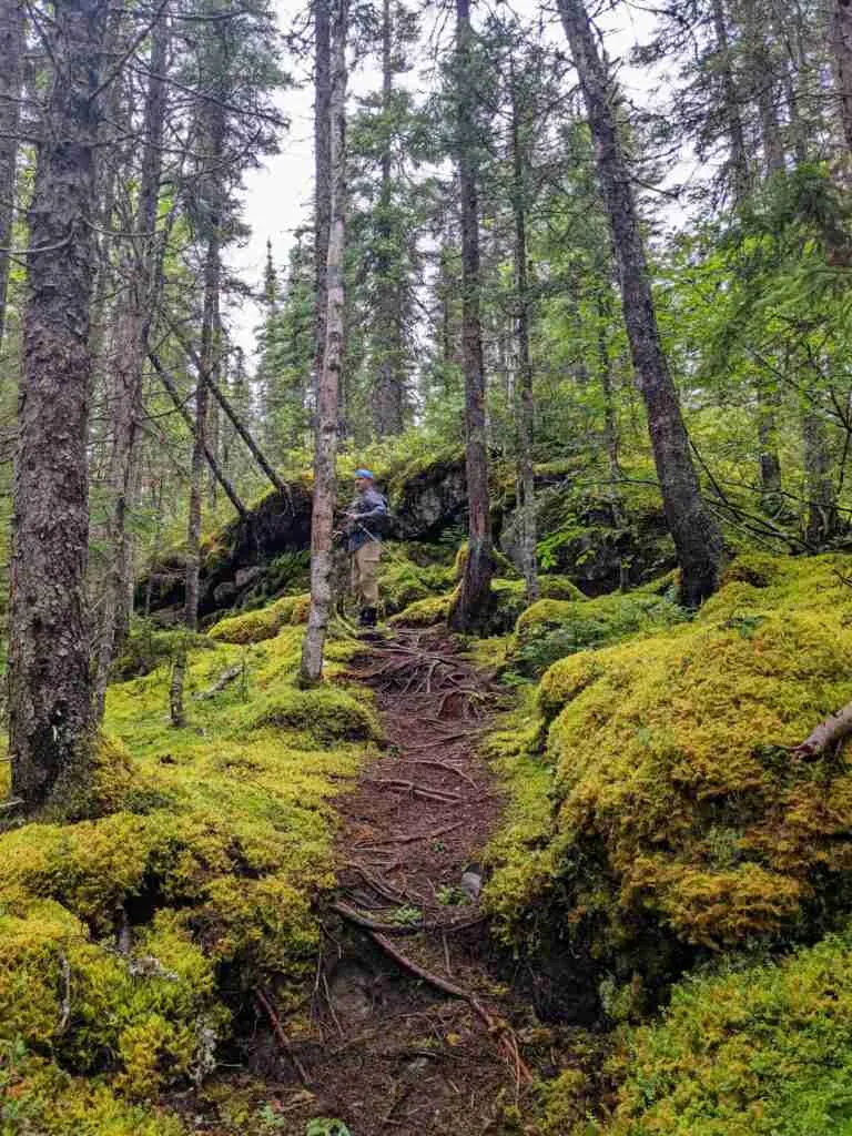 hiking trail to mont Harfang in the Monts Groulx