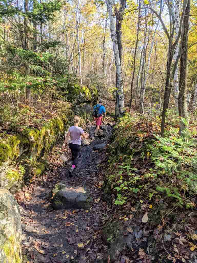 Lion's Head hiking trail in the forest