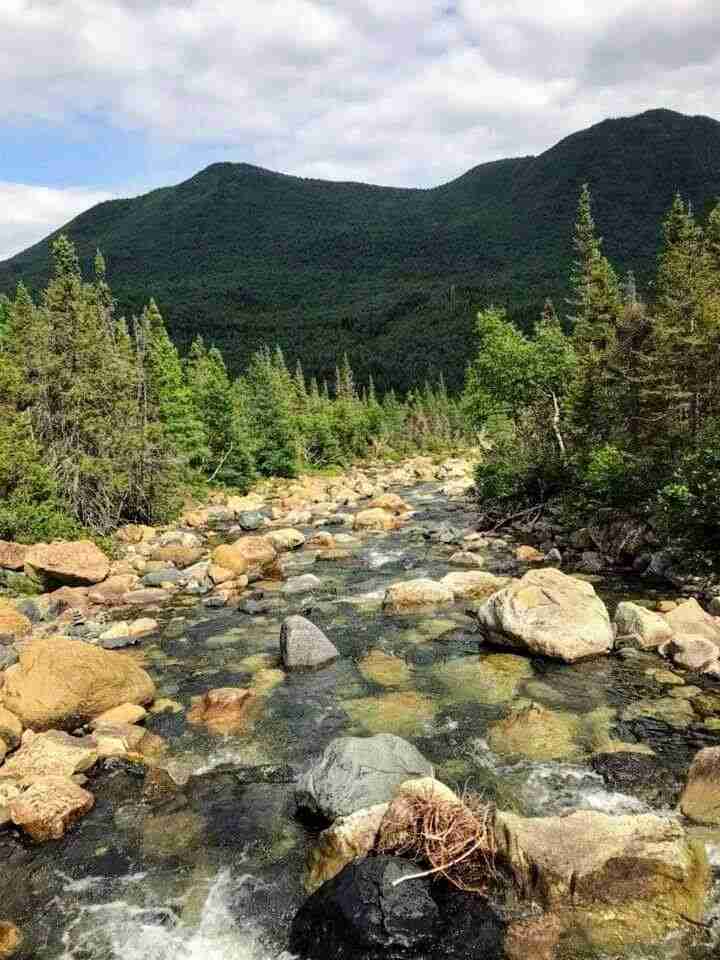 Water cascading down Devil's Creek with Mont Albert in the background