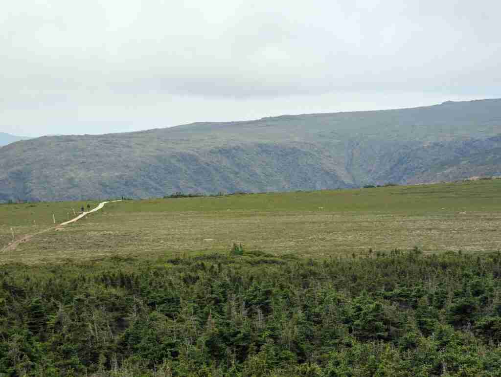 The trail on mont Albert traversing the summit plateau in tundra