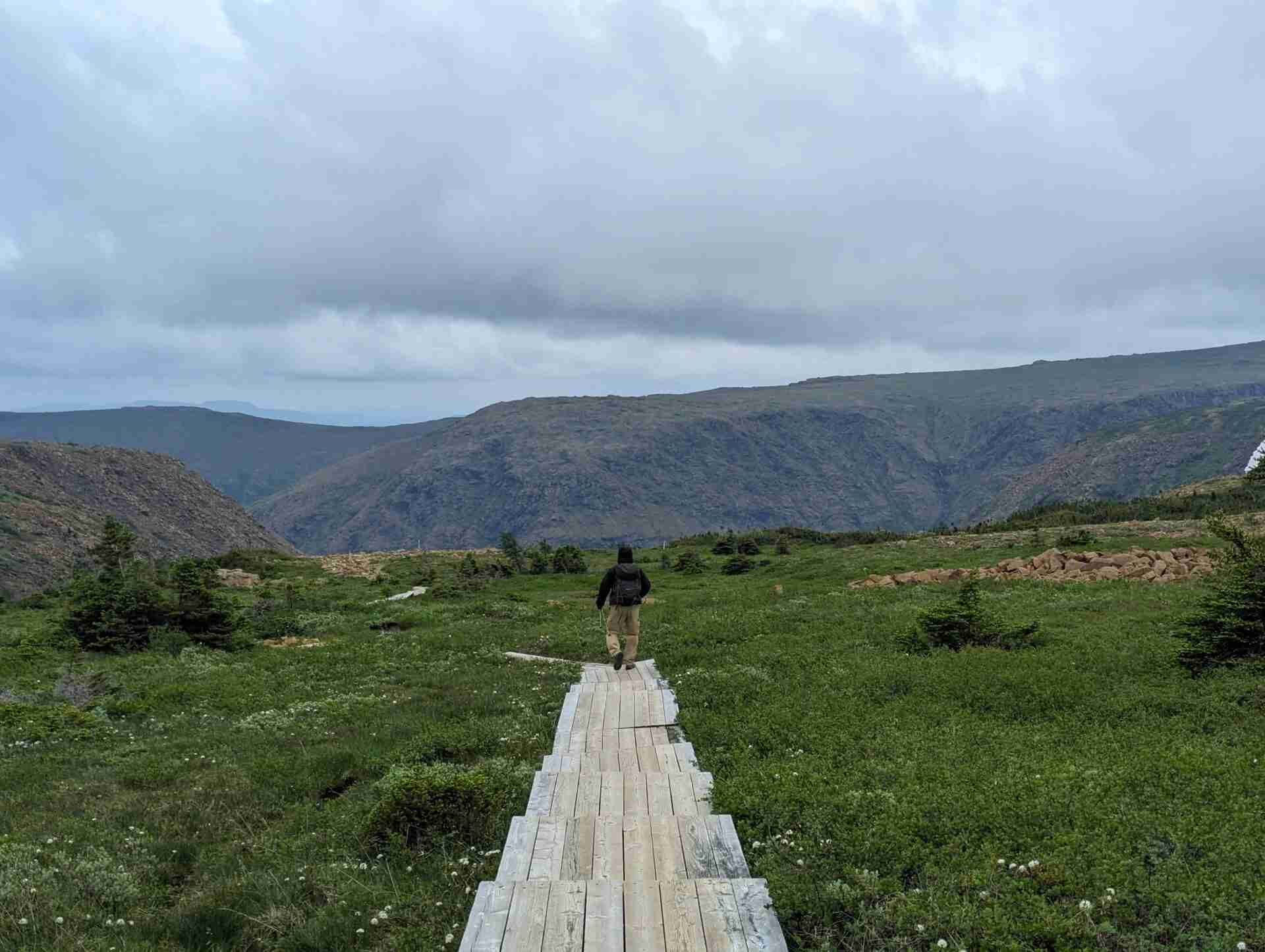 Hiker walking on a boardwalk to protect the fragile tundra of Mont Albert's plateau.