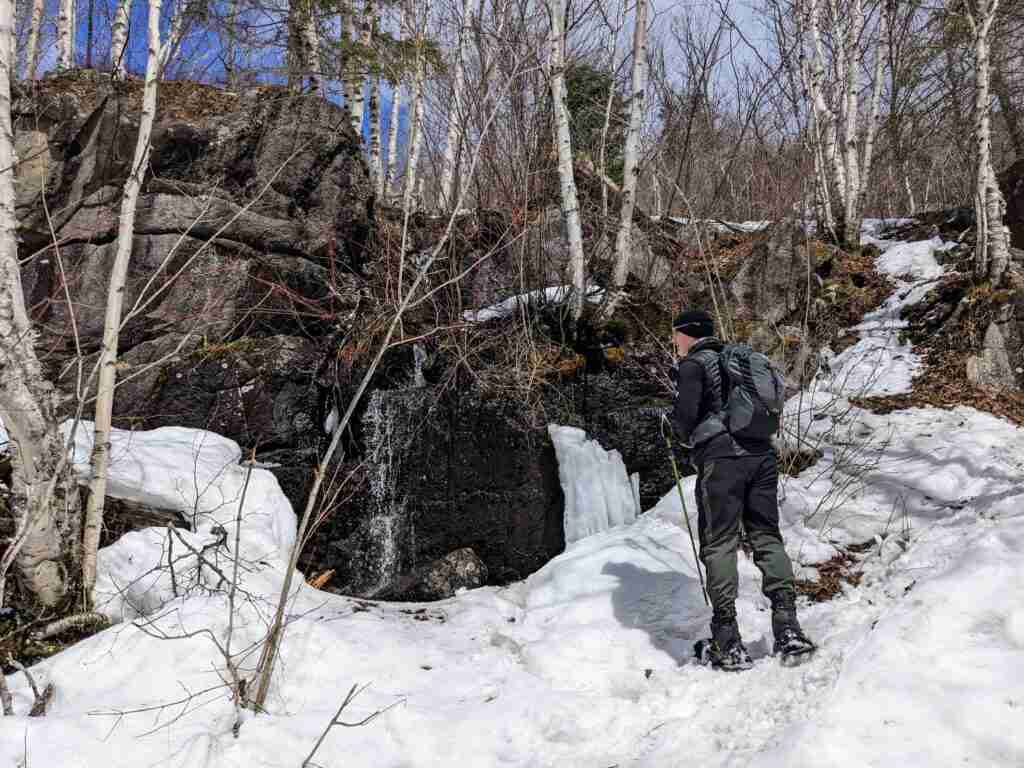 hiker winter hiking on a frozen slope in the forest wearing snowshoes