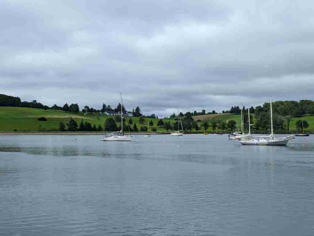 sailboats in the water with the green hills of the Bluenose Golf Club beyond