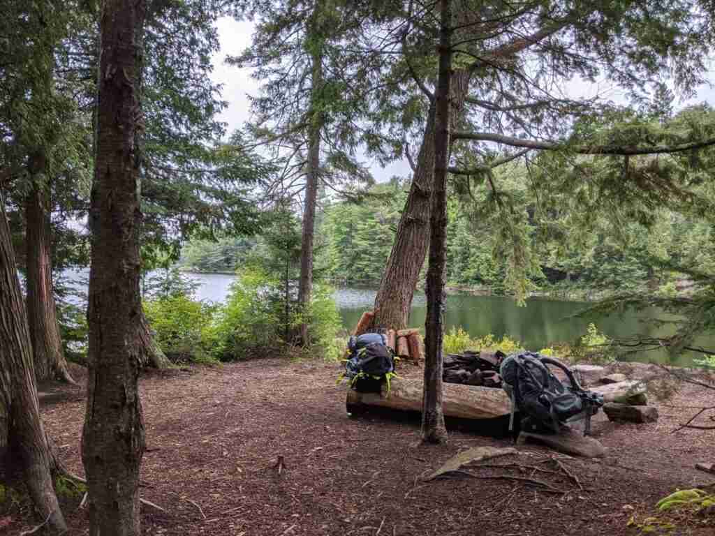 Backcountry campsite by the lake and scattered trees in Algonquin Provincial Park on the Highland Backpacking Trail