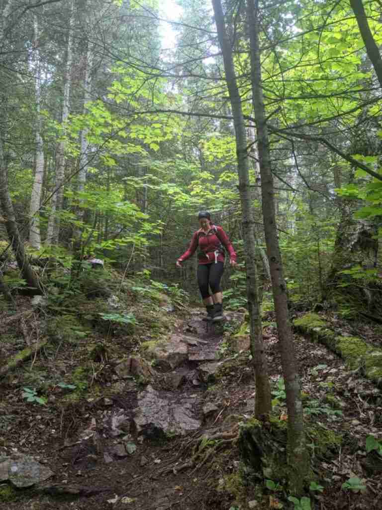 hiking alone as a woman on a rocky trail bordered by trees