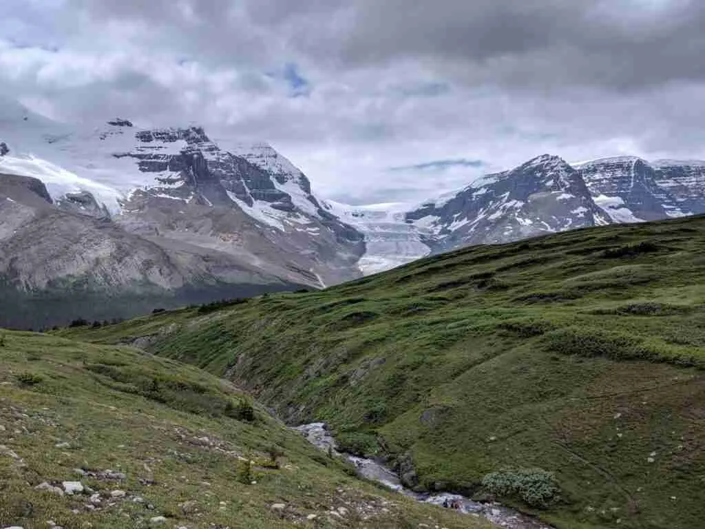 prairie alpine avec les montagnes enneigées au loin