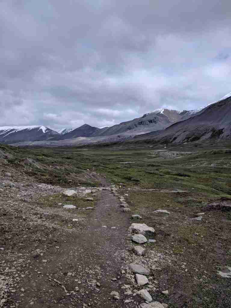 sentier de terre usé bordé de rochers dans une prairie alpine avec des montagnes au loin sur le sentier du col Wilcox