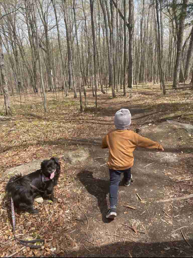 child hiking with a dog on a trail in forest in the fall