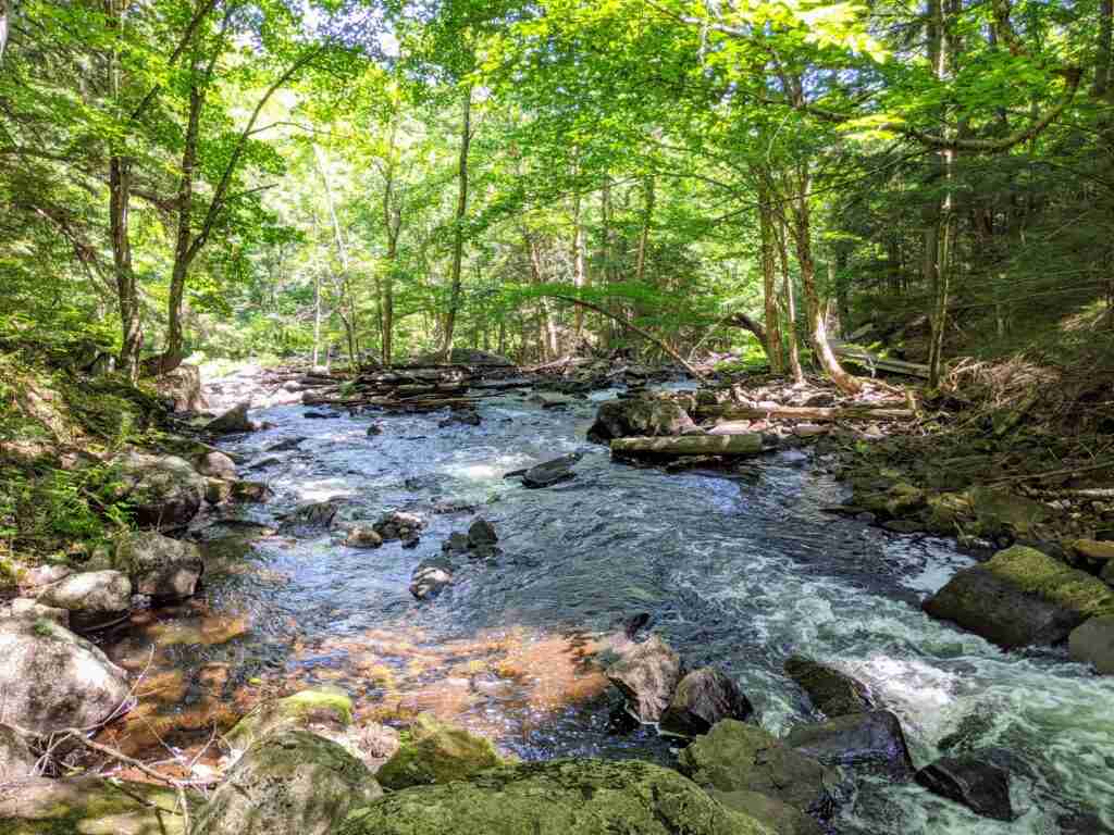 stream bordered by rocks and tall trees as seen from a hiking trail in Algonquin Provincial Park