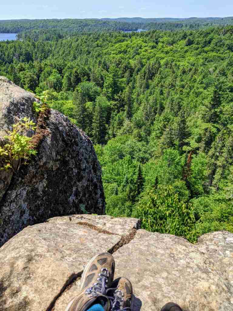 lookout on the Track and Tower Trail in Algonquin Park looking at the vast green forest and a lake in the distance