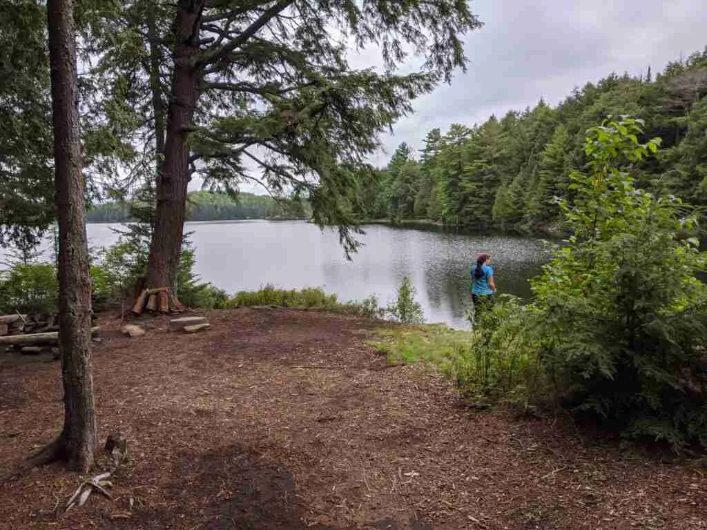 backcountry camping site by a lake in Algonquin Park