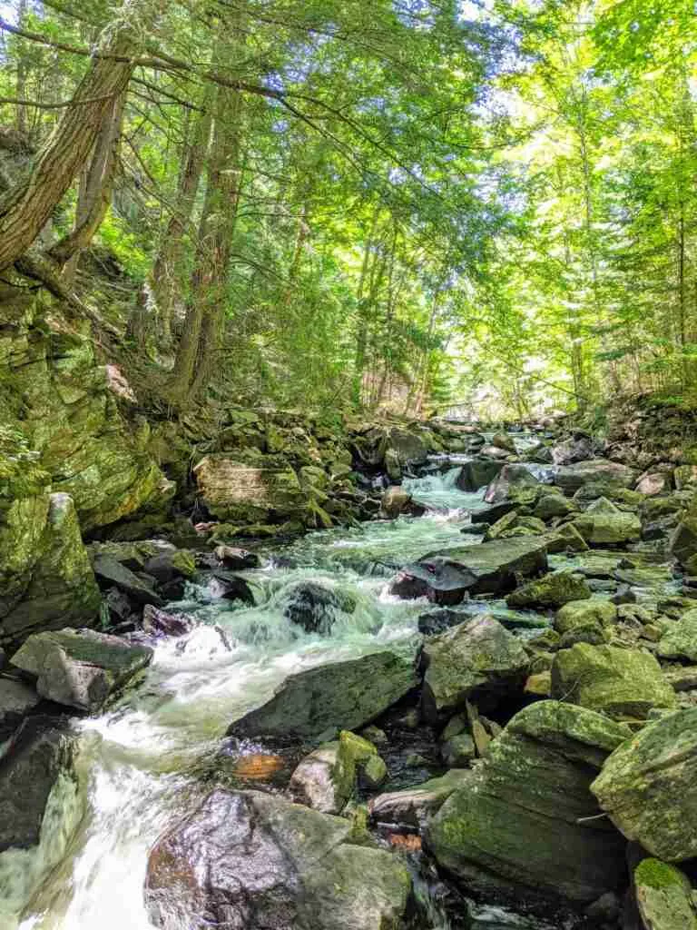 stream flowing over rocks bordered by trees on a hiking trail in Algonquin Provincial Park
