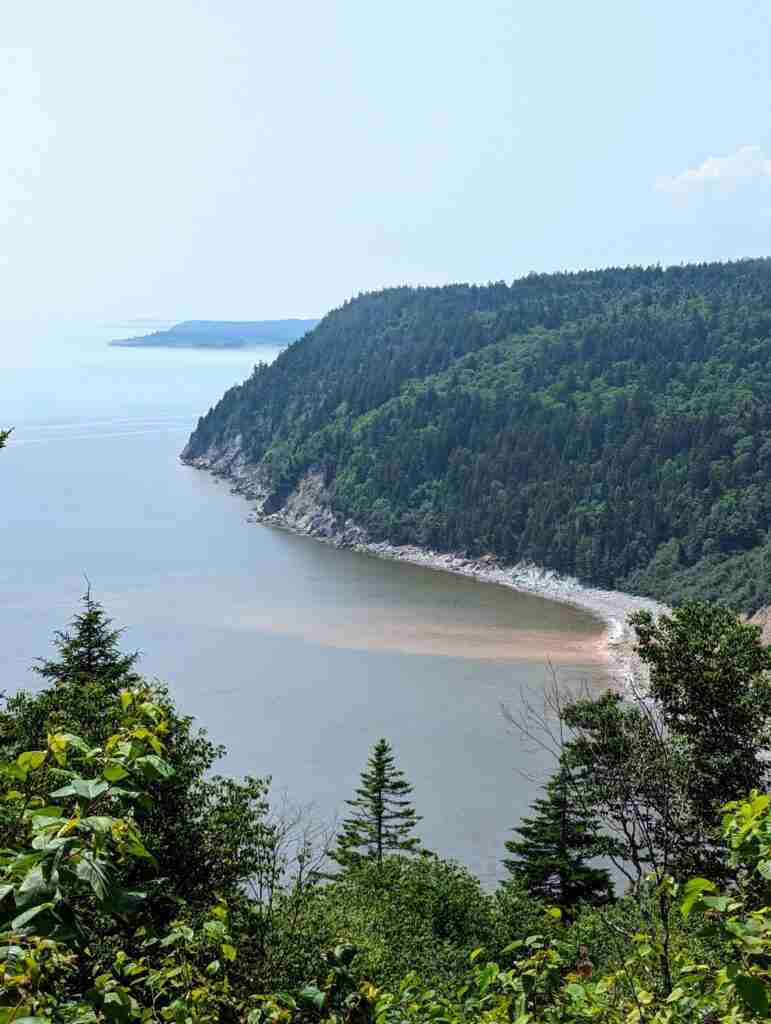 sea coast with rolling forested hills