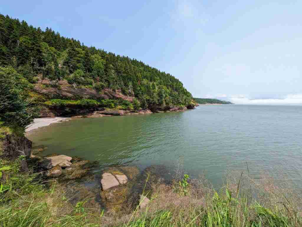 Trees and boulders lining the shore of the Bay of Fundy in Fundy National Park