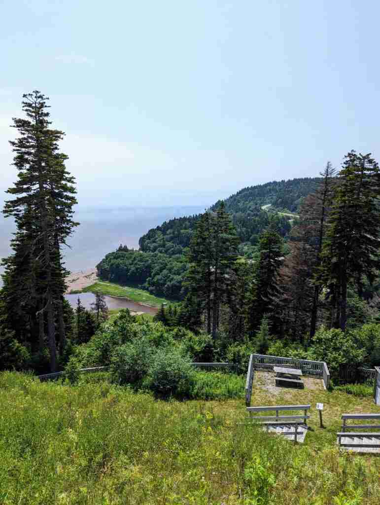 picnic area with overgrown grass on top of a hill