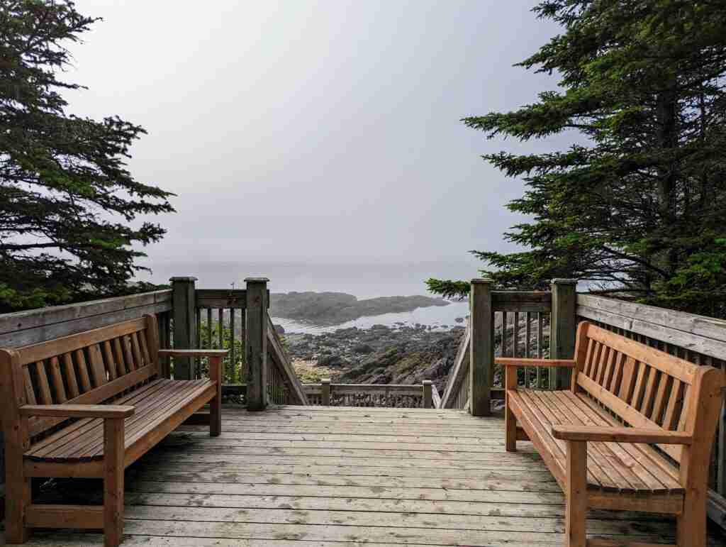 observation platform with wooded bench by the water in Irving Nature Park near Saint John, New Brunswick