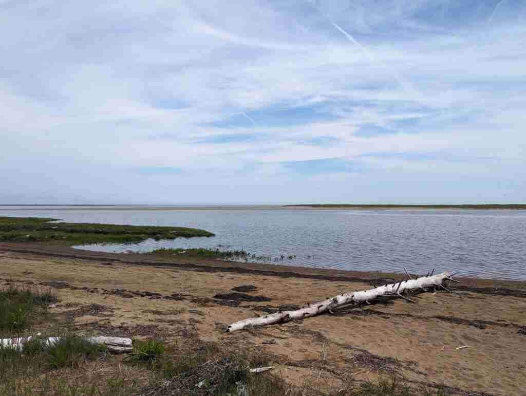 sandy beach in Kouchibouguac National Park