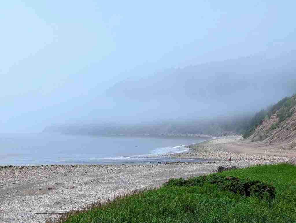 pebble beach