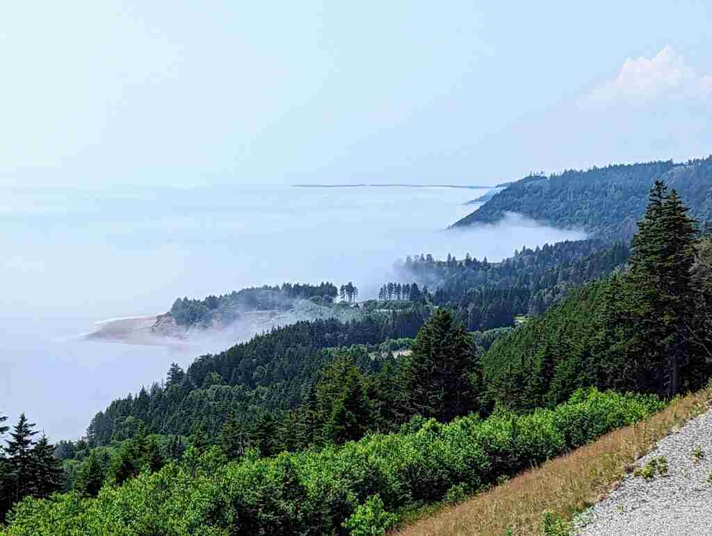 Quaco Lookout over the Bay of Fundy, the forest with fog moving in