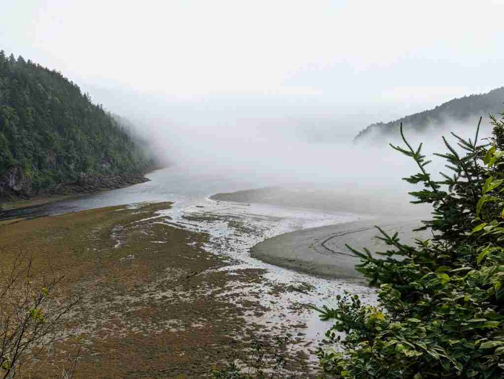 cliffs and the river at low tide