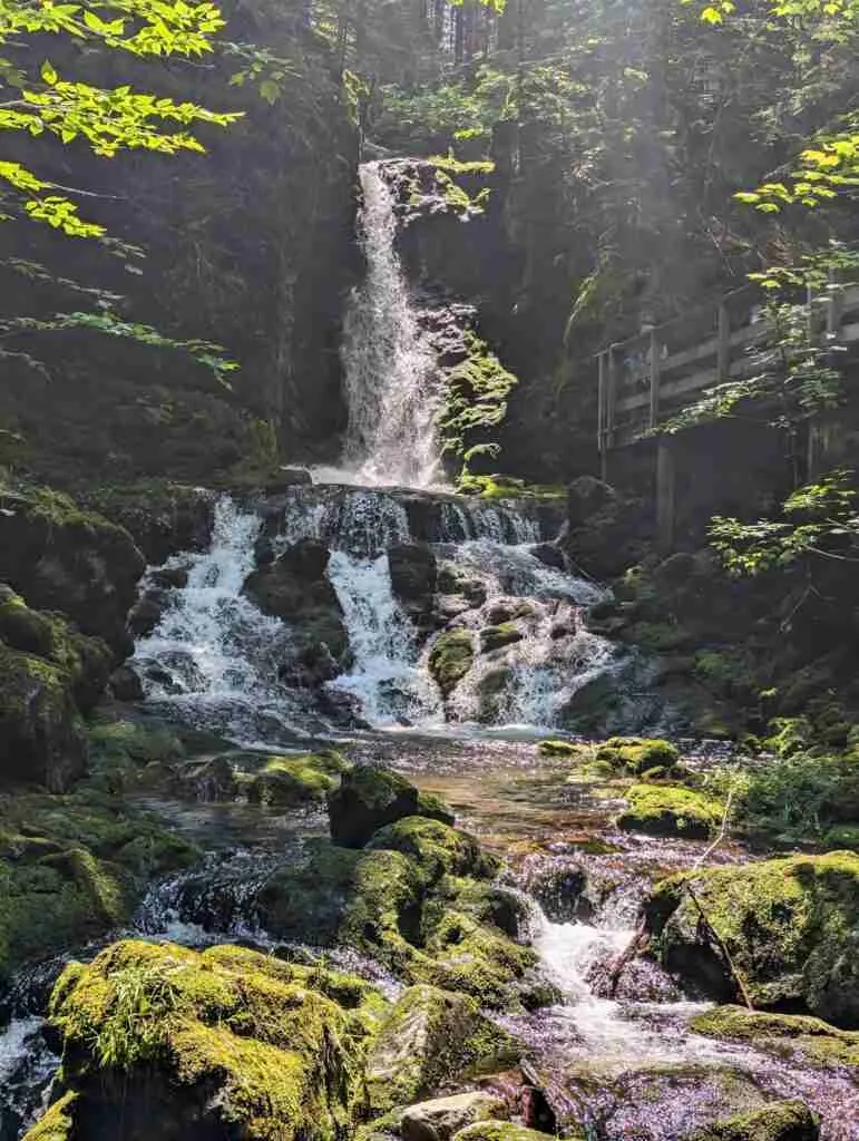 Dickson Falls cascading down rocks with boardwalk on a Fundy National Park hike