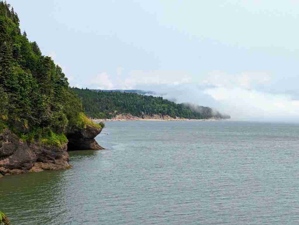 View of the cliffs and the Bay of Fundy from Matthews Head Trail
