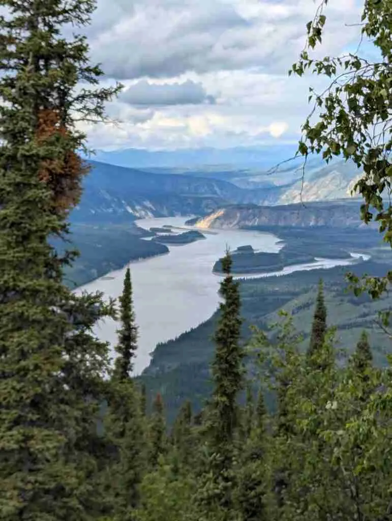 Vue sur le fleuve Yukon et les forêts environnantes depuis le Midnight Dome