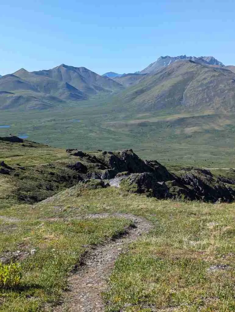 trail visible in a grassy area with the mountains of Tombstone in the background. Trail etiquette #1 Stay on the trail.