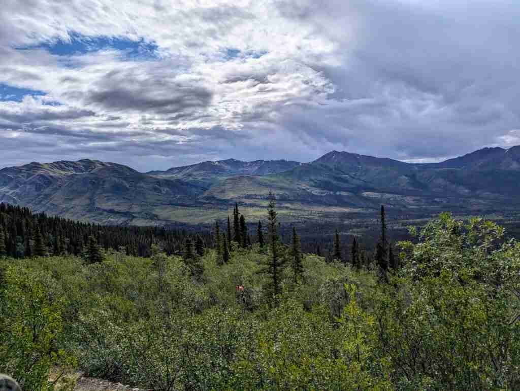des buissons avec de grands arbres dispersés un peu partout et les montagnes au loin