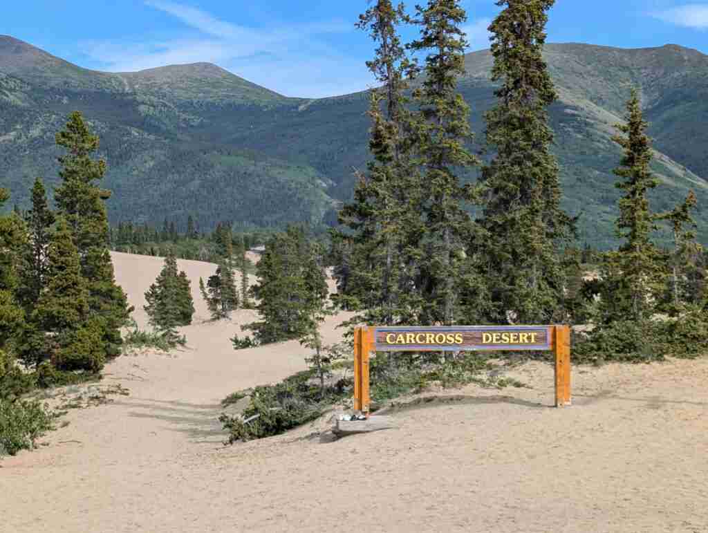 les dunes de sable du désert de Carcross au Yukon avec des pins dispersés dans les dunes et les montagnes verdoyantes en arrière-plan