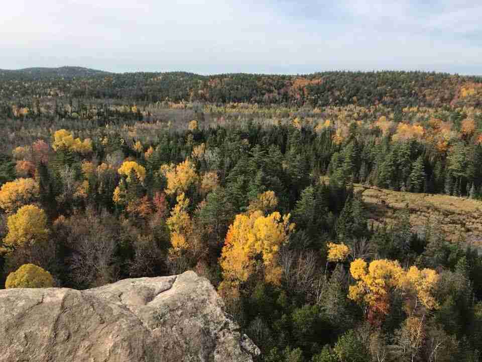 eagle's nest lookout in Calabogie Ontario looking out over the vast forest in fall colours, a mix of greena and yellow