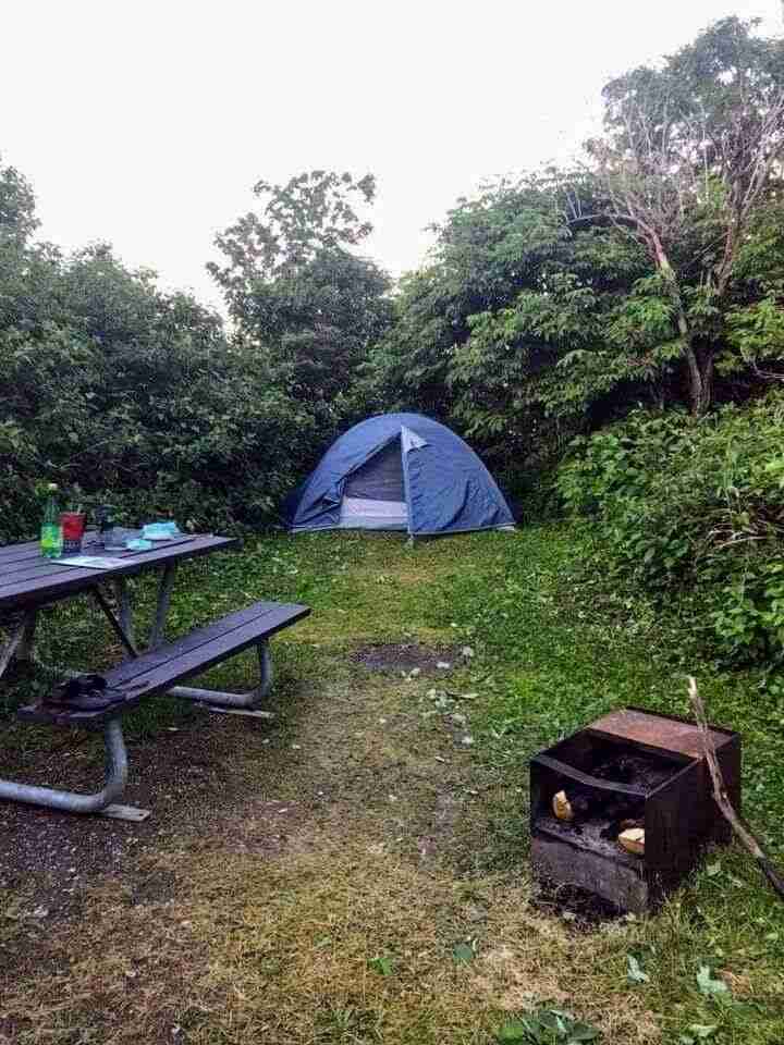 tent on a campsite