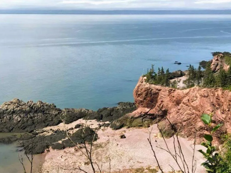 seal cove in Cape Chignecto