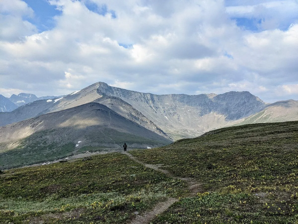 Indian Ridge hike in Canadian Rockies