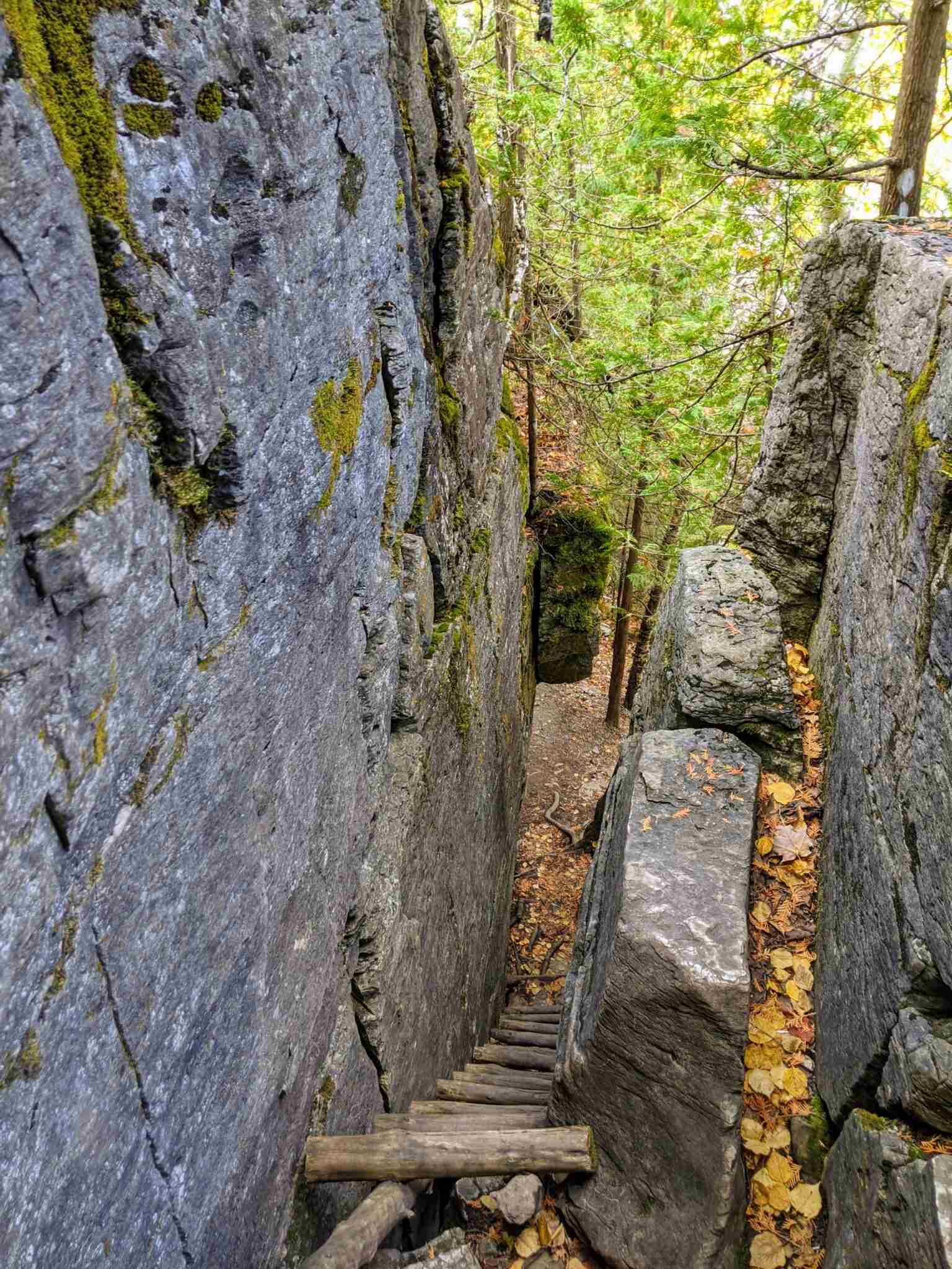 Hiking Cup and Saucer and Other Trails on Manitoulin Island