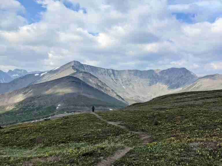 Indian Ridge Hike Guide in Jasper National Park