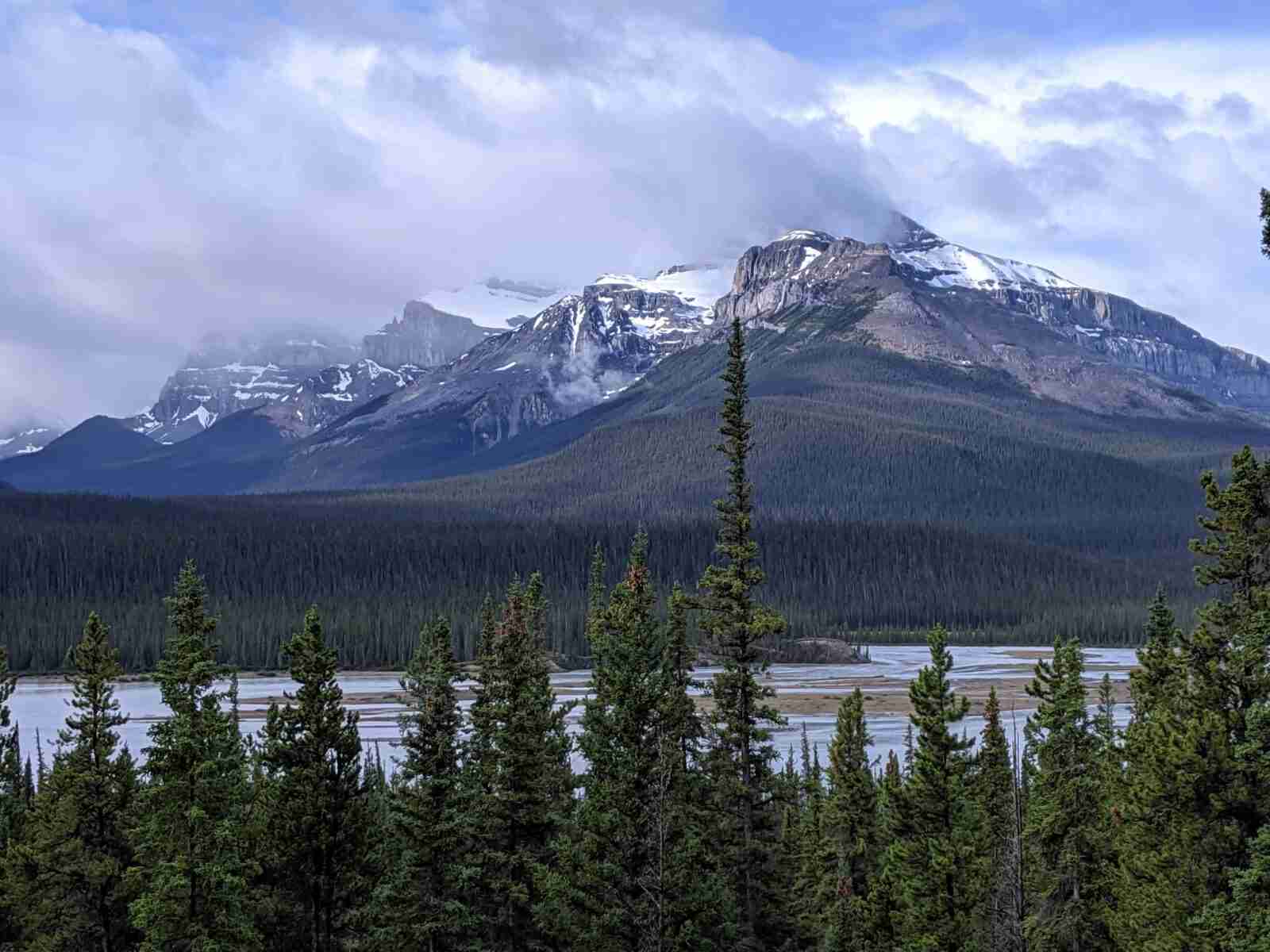 View of the mountains on Parker Ridge Trail hike just above the treeline