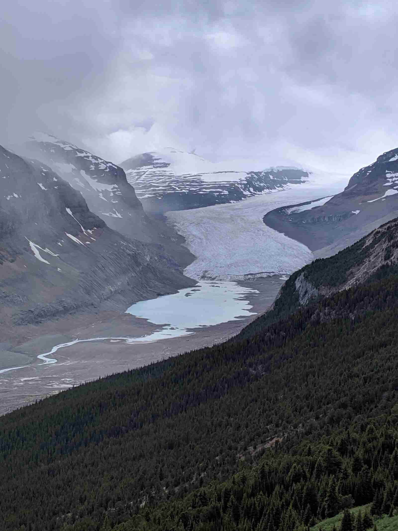 view of the Saskatchewan Glacier and lake from the Parker Ridge Trail